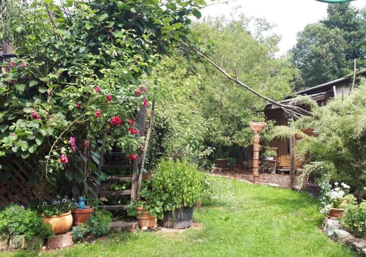 Aeltestes Haus In Quentel - Ferienwohnung 1 Mit Kleinem Garten Lichtenau Exteriör bild